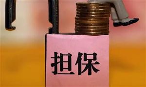 必一运动官网：修立原料行业进展申诉：2023年修立业总产值同比延长577%!(图3)